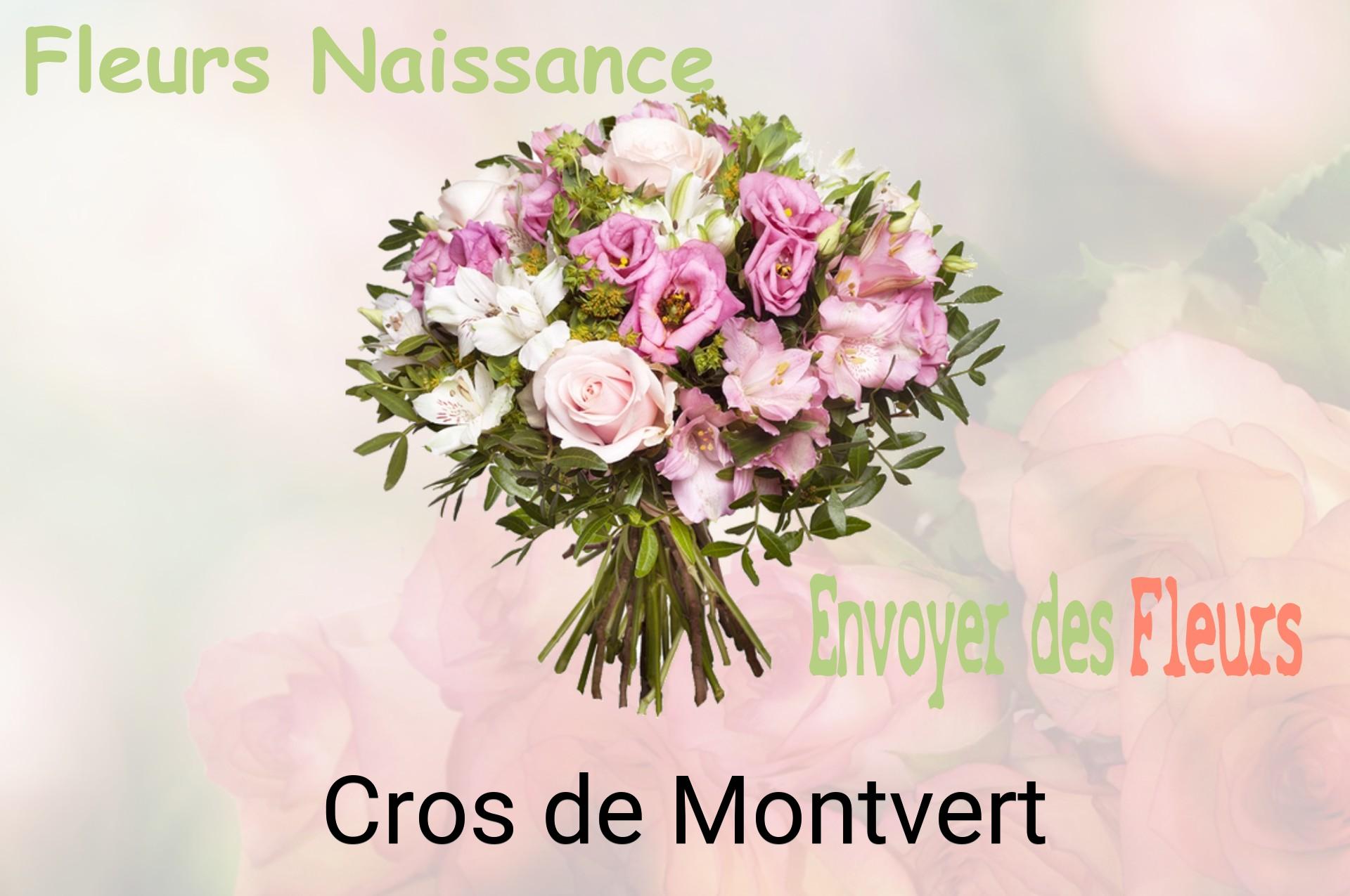 Bouquet de fleurs de naissance livré à Cros-de-Montvert